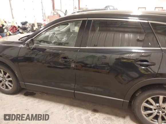 2017 Mazda CX-9 Touring with VIN JM3TCBCY8H0128734, listed as a IAAI auction lot 41256313 with 166,353 mi miles. Bid and sale history available at carsss.com. Image 14.
