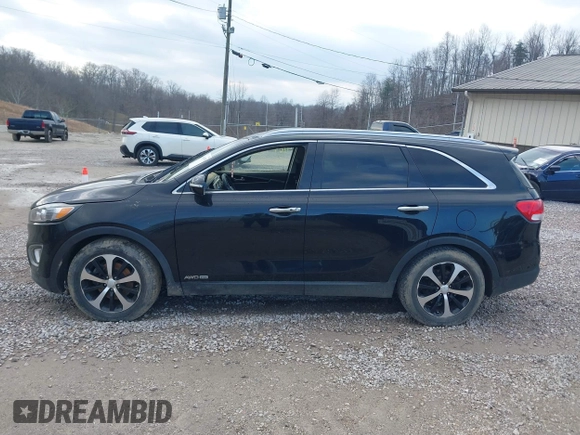 2017 Kia Sorento EX with VIN 5XYPHDA54HG323420, listed as a IAAI auction lot 41649355 with Not Provided miles and . Bid and sale history available at DreamBid. Image 13.