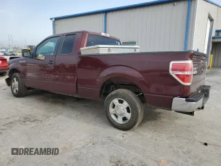 2010 Ford F-150 XL with VIN 1FTEX1C84AFB07754, listed as a Copart auction lot 55527995 with 236,226 mi miles and Salvage title. Bid and sale history available at DreamBid. Image 2.