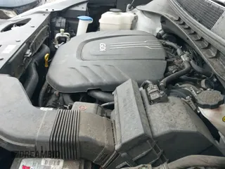 2017 Kia Sorento LX with VIN 5XYPG4A55HG329472, listed as a IAAI auction lot 42886048 with 201,608 mi miles and . Bid and sale history available at DreamBid. Image 19.