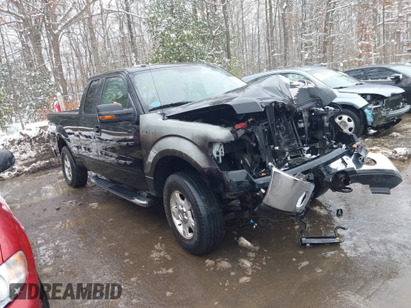 2009 Ford F-150 XL with VIN 1FTPX14V69FB05187, listed as a IAAI auction lot 41548156 with 14 mi miles. Bid and sale history available at carsss.com. Image 1.