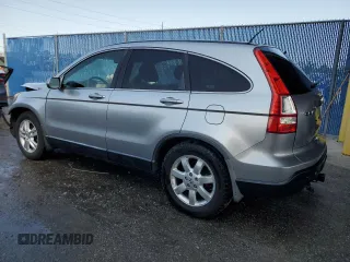 2008 Honda CR-V EX-L with VIN JHLRE38798C016030, listed as a Copart auction lot 49146585 with 207,982 mi miles and Salvage Title. Bid and sale history available at carsss.com. Image 2.