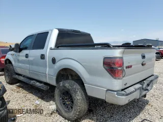 2009 Ford F-150 XL with VIN 1FTRW12879FA42609, listed as a Copart auction lot 62177534 with 157,629 mi miles and Salvage Title. Bid and sale history available at carsss.com. Image 2.