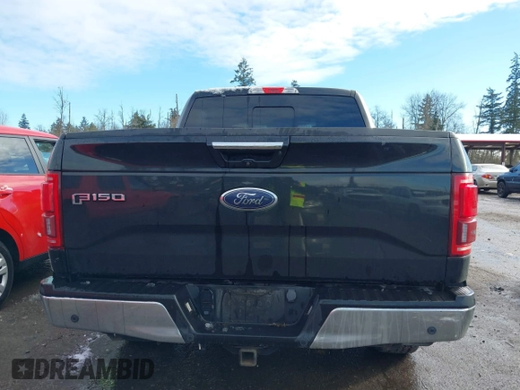 2015 Ford F-150 XLT with VIN 1FTEW1EP4FFB51252, listed as a IAAI auction lot 41471878 with 103,393 mi miles. Bid and sale history available at carsss.com. Image 17.