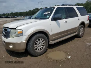 2011 Ford Expedition XLT z VIN 1FMJU1H57BEF40462, wystawiony jako Copart lot #54310945 z przebiegiem 125 434 mil mil oraz Szkoda całkowita • Salvage title. Historia ofert i sprzedaży dostępna na DreamBid. Obrazek 1.
