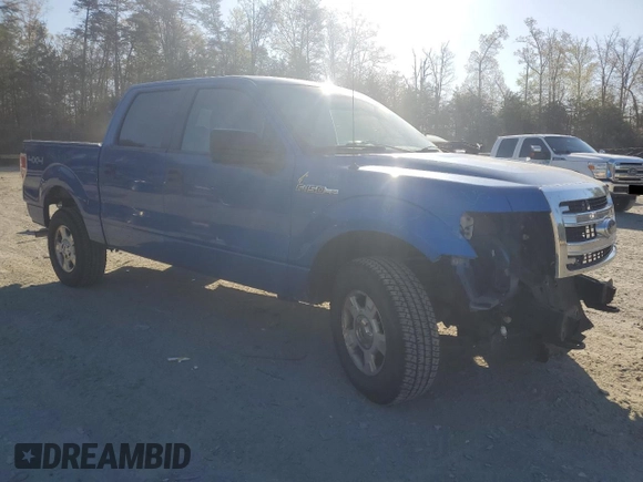 2013 Ford F-150 XL with VIN 1FTFW1EF3DFA87410, listed as a Copart auction lot 53025645 with 219,758 mi miles and Salvage Title. Bid and sale history available at DreamBid. Image 4.