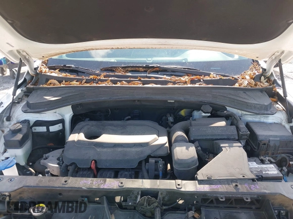 2019 Hyundai Santa Fe SEL with VIN 5NMS33AD6KH081690, listed as a IAAI auction lot 41961423 with 114,389 mi miles and . Bid and sale history available at DreamBid. Image 10.