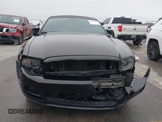 2014 Ford Mustang V6 z VIN 1ZVBP8EM2E5330955, wystawiony jako IAAI lot #41567236 z przebiegiem 17 365 mil mil oraz . Historia ofert i sprzedaży dostępna na DreamBid. Obrazek 12.