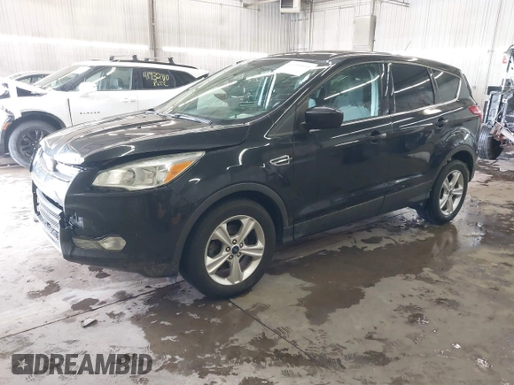 2014 Ford Escape SE with VIN 1FMCU0GX4EUC50972, listed as a IAAI auction lot 41953559 with 134,936 mi miles. Bid and sale history available at carsss.com. Image 2.