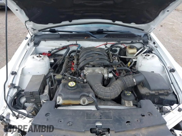 2008 Ford Mustang GT Deluxe с VIN 1ZVHT82H185196893, выставлен на аукционе IAAI как лот 42497243 с пробегом Не указан миль и . История ставок и продаж доступна на DreamBid. Изображение 10.