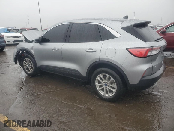 2022 Ford Escape SE with VIN 1FMCU9G61NUC02650, listed as a Copart auction lot 81252904 with Not provided miles and Non repairable. Bid and sale history available at DreamBid. Image 2.
