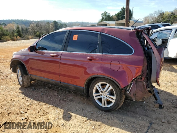 2011 Honda CR-V EX-L with VIN 5J6RE4H76BL037146, listed as a Copart auction lot 49583195 with 0 mi miles and Salvage Title. Bid and sale history available at carsss.com. Image 2.