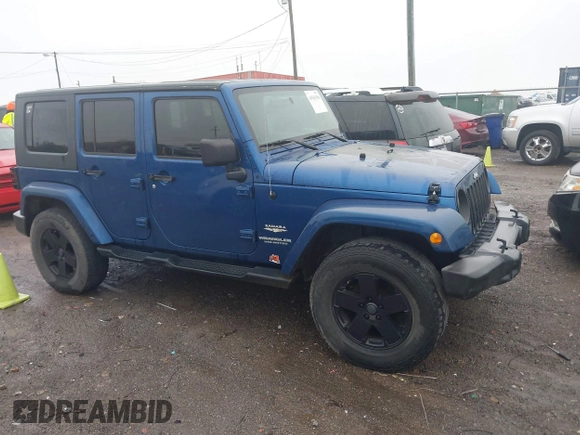 2010 Jeep Wrangler Unlimited Sahara with VIN 1J4BA5H17AL166915, listed as a IAAI auction lot 41561508 with 252,337 mi miles. Bid and sale history available at carsss.com. Image 13.