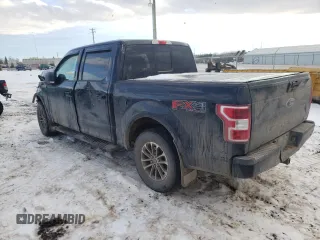 2019 Ford F-150 XL with VIN 1FTEW1EP9KKD61251, listed as a Copart auction lot 81344233 with 141,639 mi miles and Salvage title. Bid and sale history available at DreamBid. Image 2.