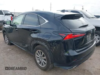 2021 Lexus NX 300 с VIN JTJDARDZ2M5019991, выставлен на аукционе IAAI как лот 42362826 с пробегом 53 074 миль миль и . История ставок и продаж доступна на DreamBid. Изображение 3.