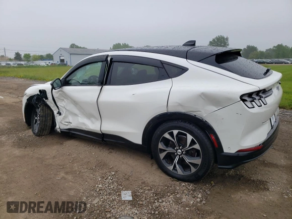 2021 Ford Mustang Mach-E Premium с VIN 3FMTK3SS2MMA24855, выставлен на аукционе Copart как лот 59269295 с пробегом 44 425 миль миль и Списание • Salvage title. История ставок и продаж доступна на DreamBid. Изображение 2.