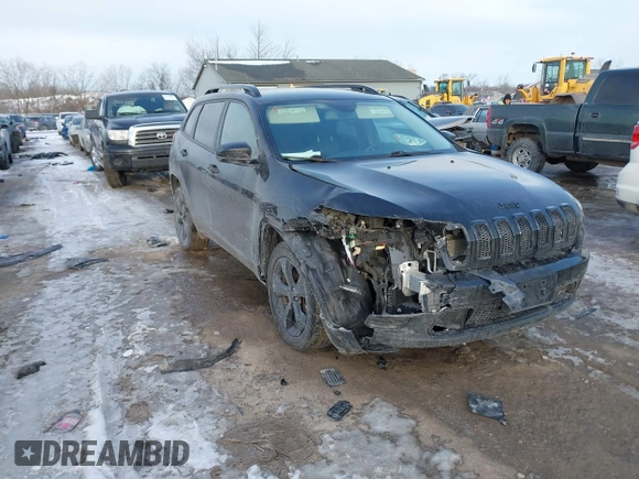 2017 Jeep Cherokee Altitude with VIN 1C4PJLAB1HW644077, listed as a IAAI auction lot 41643091 with 120,738 mi miles and . Bid and sale history available at DreamBid. Image 1.