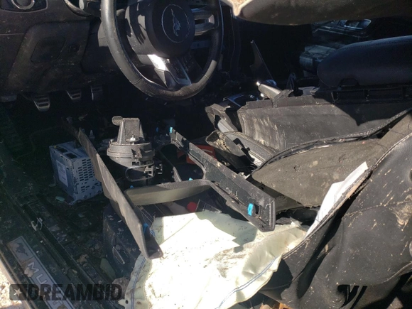2019 Ford Mustang GT with VIN 1FA6P8CF2K5120723, listed as a Copart auction lot 87422134 with Not provided miles and Salvage title. Bid and sale history available at DreamBid. Image 8.