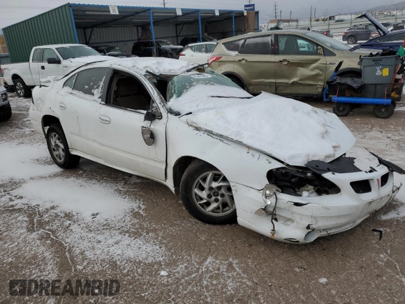 2004 Pontiac Grand Am SE with VIN 1G2NE52F74M580789, listed as a Copart auction lot 41447845 with 0 mi miles and Salvage Title. Bid and sale history available at carsss.com. Image 4.