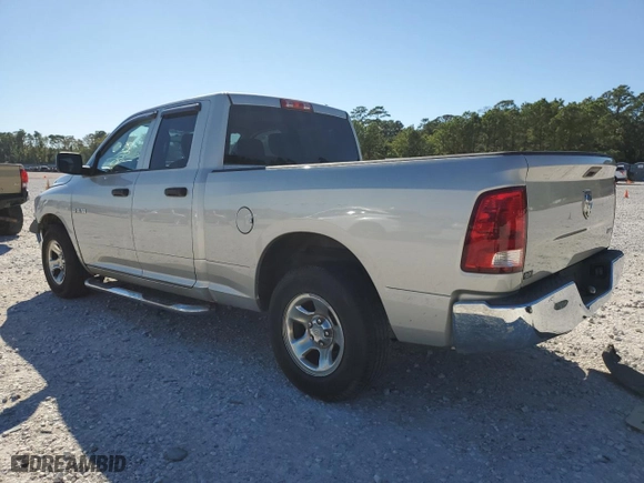 2010 Dodge Ram 1500 ST with VIN 1D7RB1GP0AS250263, listed as a Copart auction lot 80908234 with 111,498 mi miles and Salvage Title. Bid and sale history available at carsss.com. Image 2.