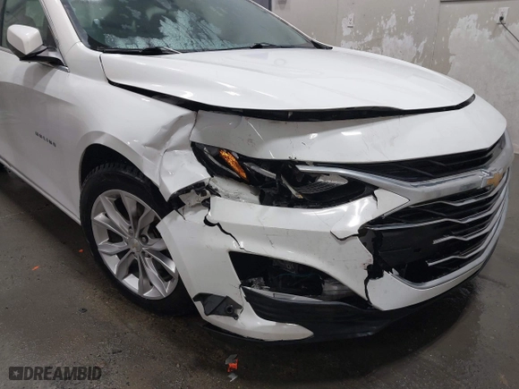 2019 Chevrolet Malibu LT with VIN 1G1ZD5ST8KF196424, listed as a IAAI auction lot 41181038 with 116,735 mi miles. Bid and sale history available at carsss.com. Image 6.