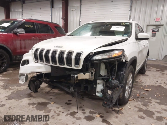 2016 Jeep Cherokee Latitude with VIN 1C4PJMCB1GW119621, listed as a IAAI auction lot 41310872 with 123,841 mi miles. Bid and sale history available at carsss.com. Image 6.