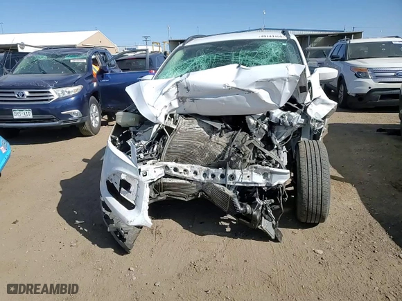 2014 Ford Escape SE with VIN 1FMCU9GX5EUC21646, listed as a Copart auction lot 49143155 with 121,556 mi miles and Salvage Title. Bid and sale history available at carsss.com. Image 12.