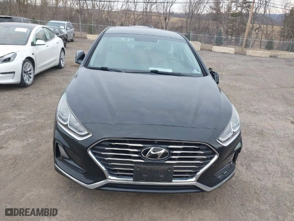 2019 Hyundai Sonata SE with VIN 5NPE24AF7KH734294, listed as a IAAI auction lot 41661304 with 50,355 mi miles. Bid and sale history available at carsss.com. Image 12.