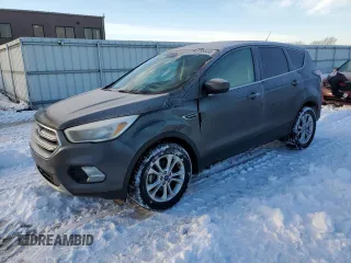 2017 Ford Escape SE with VIN 1FMCU0GD8HUE14993, listed as a Copart auction lot 87868485 with 118,768 mi miles and Salvage Title. Bid and sale history available at carsss.com. Image 1.