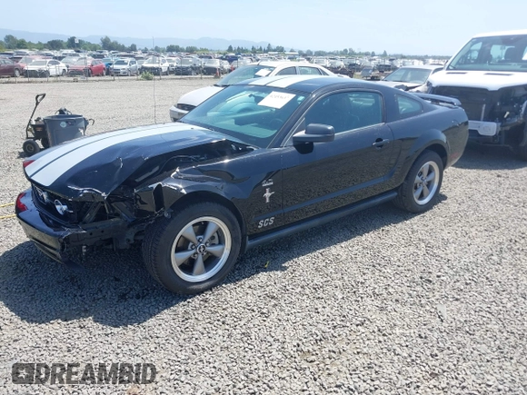 2006 Ford Mustang Standard with VIN 1ZVFT80N065182187, listed as a IAAI auction lot 42453637 with Not provided miles and . Bid and sale history available at DreamBid. Image 20.