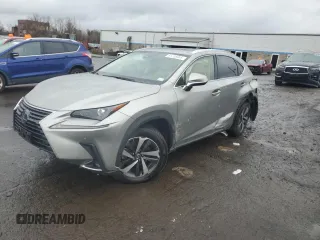 2021 Lexus NX 300 with VIN JTJGARDZ4M2253676, listed as a Copart auction lot 51236905 with 49,592 mi miles and Salvage title. Bid and sale history available at DreamBid. Image 1.