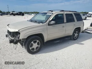 2009 Chevrolet TrailBlazer 1LT with VIN 1GNDS33S592129225, listed as a Copart auction lot 50897855 with 84,211 mi miles and Salvage Title. Bid and sale history available at DreamBid. Image 1.