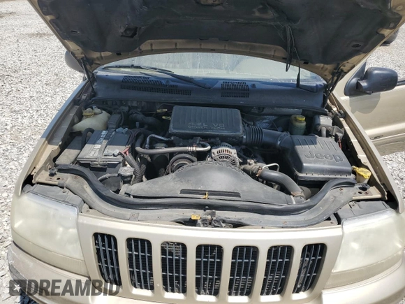 2000 Jeep Grand Cherokee Limited z VIN 1J4GW58N0YC272532, wystawiony jako Copart lot #57524225 z przebiegiem 238 921 mil mil oraz Szkoda całkowita • Salvage title. Historia ofert i sprzedaży dostępna na DreamBid. Obrazek 12.