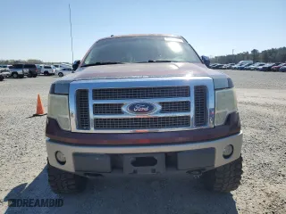 2010 Ford F-150 XL with VIN 1FTFW1EV9AKE13043, listed as a Copart auction lot 50417195 with 181,884 mi miles and Salvage Title. Bid and sale history available at carsss.com. Image 5.