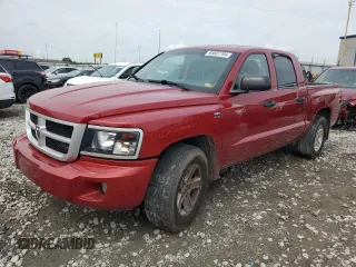 2010 Dodge Dakota SXT with VIN 1D7CW3GP8AS230686, listed as a Copart auction lot 65687704 with 110,017 mi miles and Salvage Title. Bid and sale history available at carsss.com. Image 1.