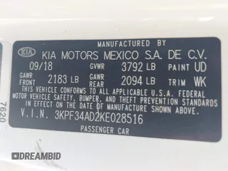 2019 Kia Forte S with VIN 3KPF34AD2KE028516, listed as a IAAI auction lot 41749001 with 233,472 mi miles. Bid and sale history available at carsss.com. Image 9.