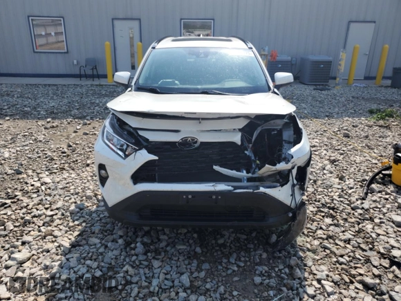 2021 Toyota RAV4 XLE Premium with VIN 2T3A1RFV4MW161896, listed as a Copart auction lot 59130275 with 18,133 mi miles and Salvage title. Bid and sale history available at DreamBid. Image 5.