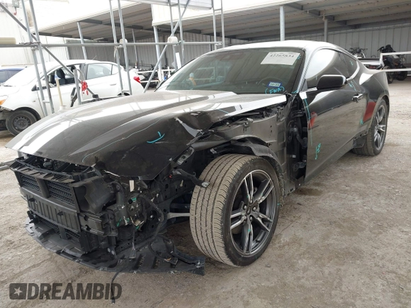 2024 Ford Mustang EcoBoost with VIN 1FA6P8TH2R5109961, listed as a IAAI auction lot 42265834 with 16,688 mi miles and . Bid and sale history available at DreamBid. Image 6.