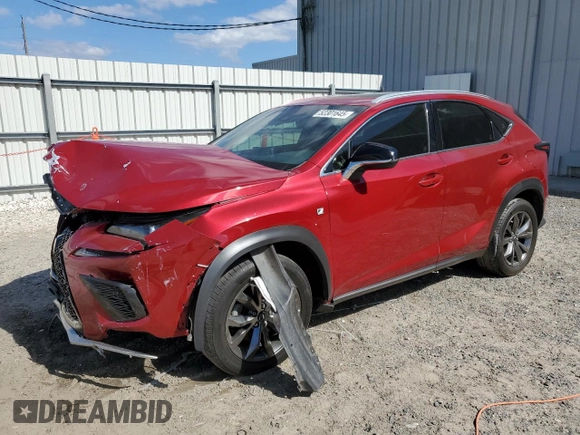 2019 Lexus NX with VIN JTJYARBZXK2157037, listed as a Copart auction lot 52301645 with 46,722 mi miles and Non Repairable. Bid and sale history available at carsss.com. Image 1.