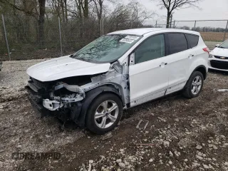 2014 Ford Escape SE with VIN 1FMCU0GX6EUA03906, listed as a Copart auction lot 50356845 with 101,852 mi miles and Salvage Title. Bid and sale history available at carsss.com. Image 1.
