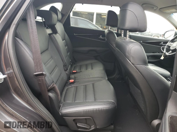 2017 Kia Sorento EX with VIN 5XYPHDA51HG222464, listed as a Copart auction lot 58585465 with 80,401 mi miles and Salvage title. Bid and sale history available at DreamBid. Image 10.