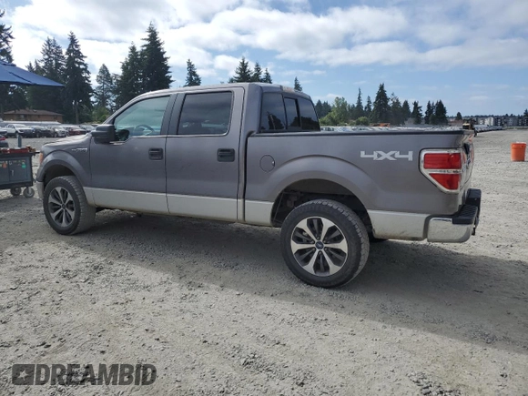 2009 Ford F-150 XL с VIN 1FTPW14V69FA77815, выставлен на аукционе Copart как лот 65020375 с пробегом 273 313 миль миль и Чистый • Clean title. История ставок и продаж доступна на DreamBid. Изображение 2.