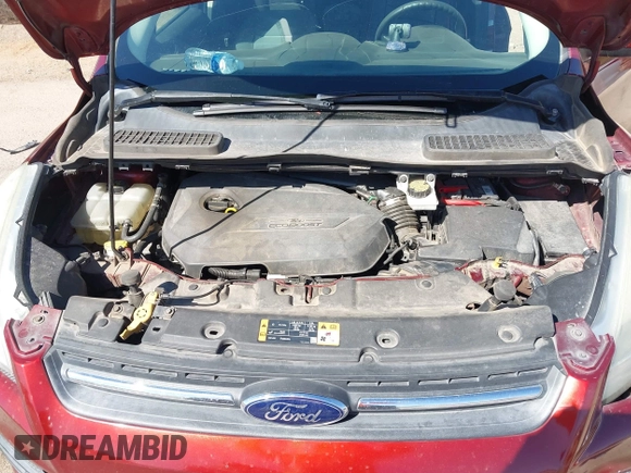 2014 Ford Escape SE with VIN 1FMCU0GX1EUB33821, listed as a IAAI auction lot 41702719 with 1 mi miles. Bid and sale history available at carsss.com. Image 10.