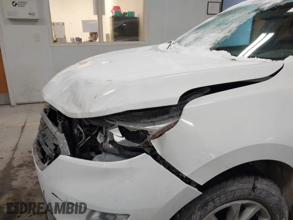 2018 Chevrolet Equinox LT with VIN 2GNAXSEV8J6252031, listed as a IAAI auction lot 41251068 with 124,361 mi miles. Bid and sale history available at carsss.com. Image 6.