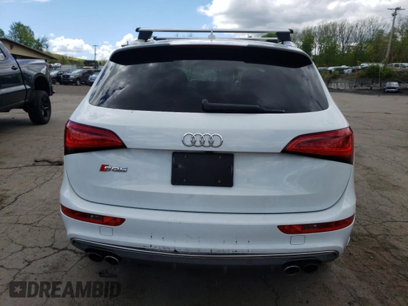 2015 Audi SQ5 Premium Plus with VIN WA1CGAFP7FA081935, listed as a Copart auction lot 51219263 with 107,134 mi miles. Bid and sale history available at carsss.com. Image 6.