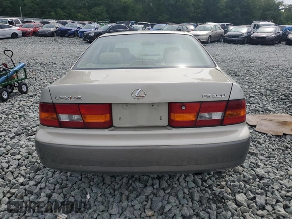 1998 Lexus ES 300 with VIN JT8BF28G4W5021187, listed as a Copart auction lot 60317445 with 258,403 mi miles and Salvage title. Bid and sale history available at DreamBid. Image 6.