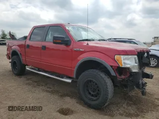 2010 Ford F-150 XL with VIN 1FTFW1EV5AFD92782, listed as a Copart auction lot 56856665 with 163,169 mi miles and Salvage title. Bid and sale history available at DreamBid. Image 4.