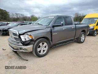 2010 Dodge 1500 SLT with VIN 1D7RB1GT4AS162734, listed as a Copart auction lot 47858455 with 131,217 mi miles and Salvage Title. Bid and sale history available at carsss.com. Image 1.