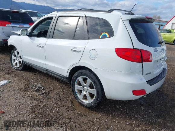 2009 Hyundai Santa Fe SE with VIN 5NMSH73E59H230115, listed as a IAAI auction lot 41997711 with 143,068 mi miles and . Bid and sale history available at DreamBid. Image 3.