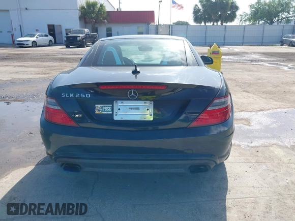 2013 Mercedes-Benz SLK 250 z VIN WDDPK4HA5DF059891, wystawiony jako IAAI lot #42015777 z przebiegiem 79 255 mil mil oraz . Historia ofert i sprzedaży dostępna na DreamBid. Obrazek 16.